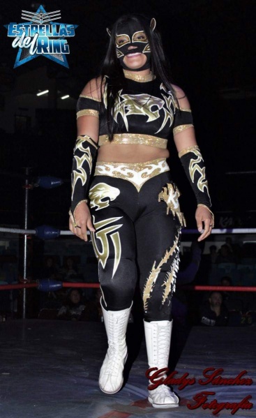File:Lady Puma in ring.jpg