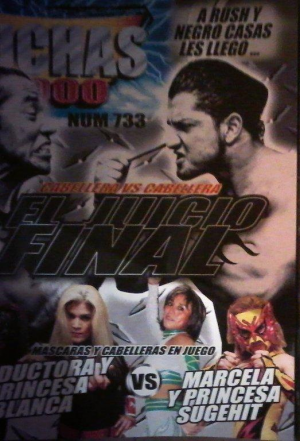 Luchas2000 733.png